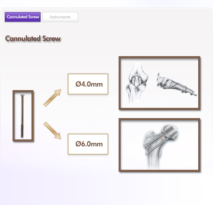 Cannulated Screw